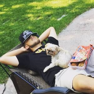 Meet your Posher, Griffin